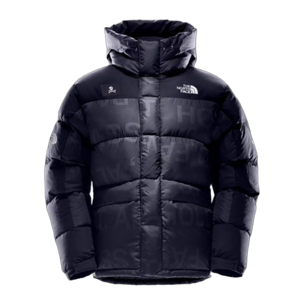 The North Face Urban Exploration Down Parka – 380-Fill Special Series
